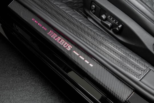 Einstiegsleisten Carbon