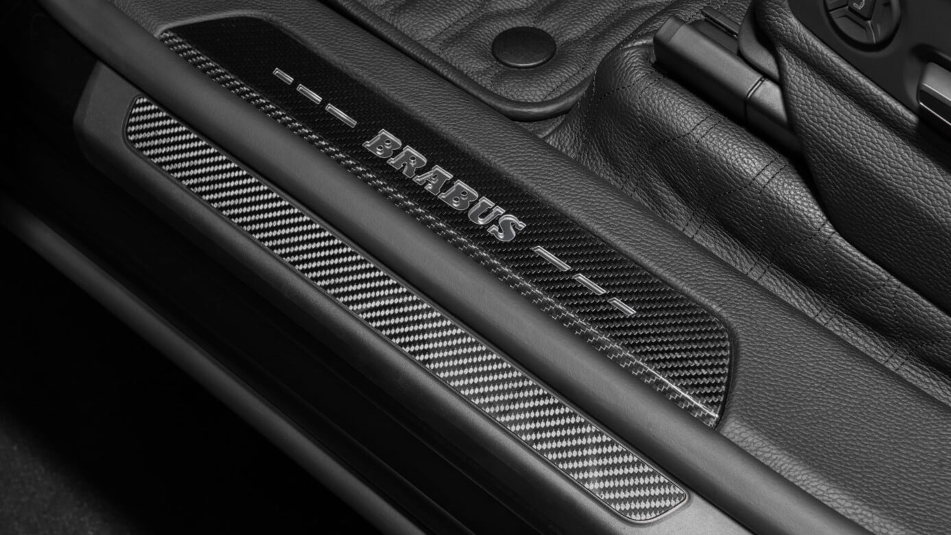 Carbon entry panels 0