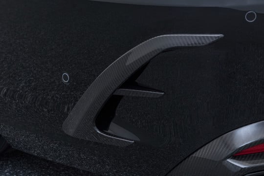 Carbon rear fascia inserts