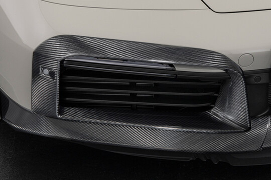 Carbon front fascia inserts