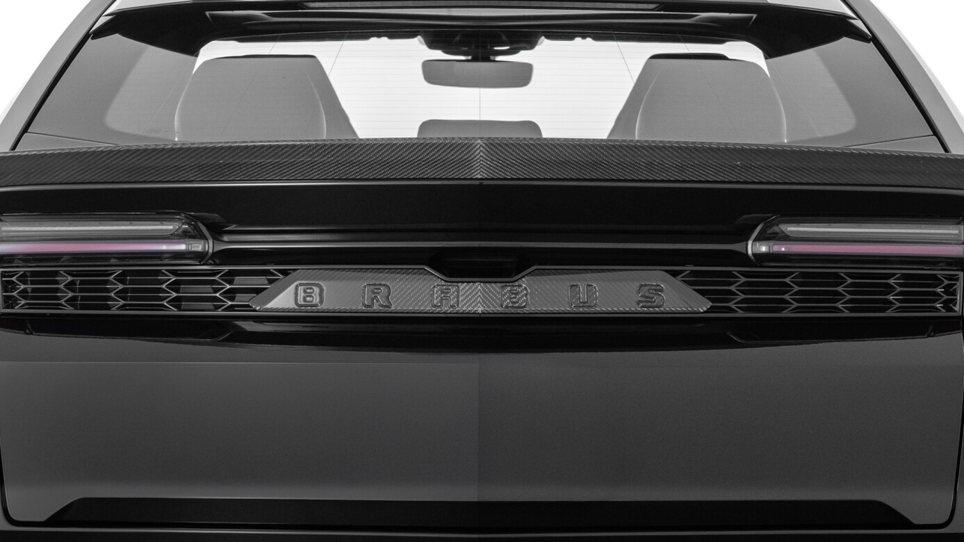 Carbon Tailgate Trim Element 1