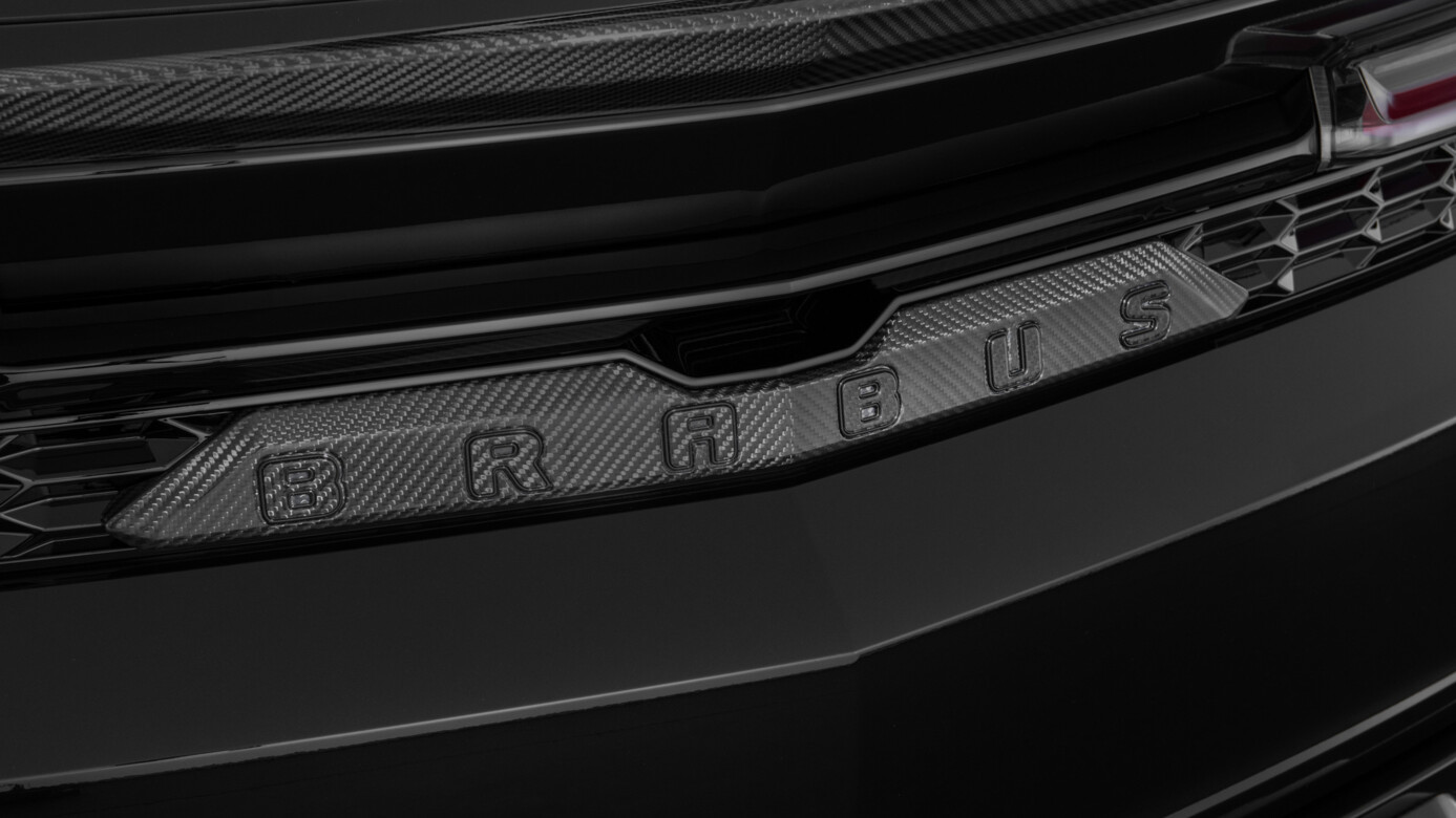 Carbon Tailgate Trim Element 0