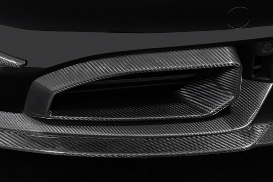 Carbon front fascia inserts