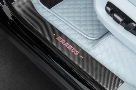 Einstiegsleisten Carbon